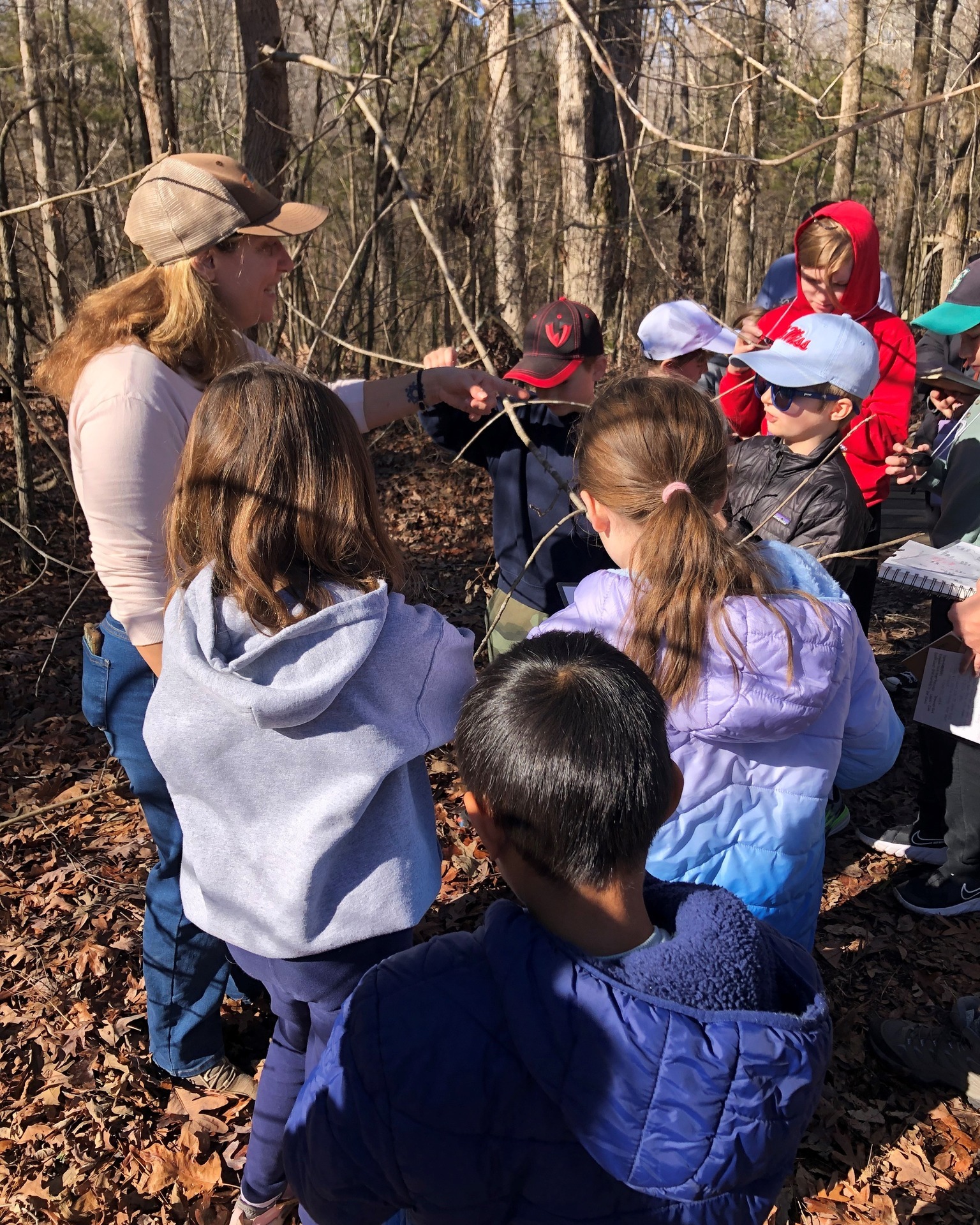 Homeschool Dendrology